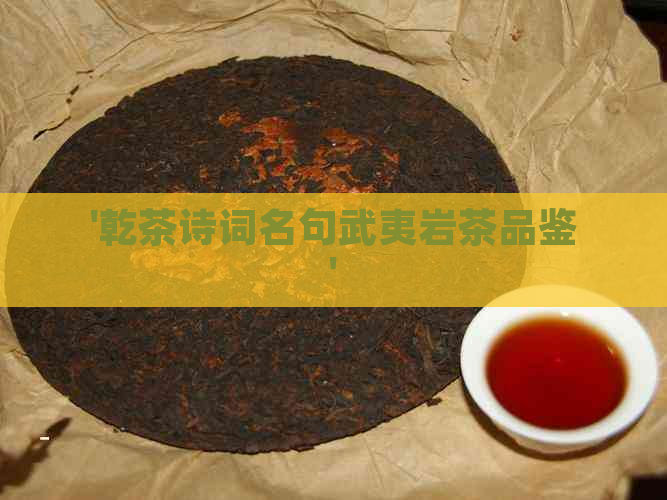 '乾茶诗词名句武夷岩茶品鉴'