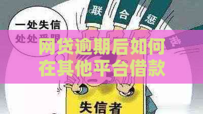 网贷逾期后如何在其他平台借款还款？全面解析应对措及注意事项