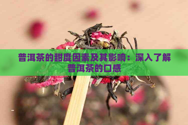 普洱茶的甜度因素及其影响：深入了解普洱茶的口感