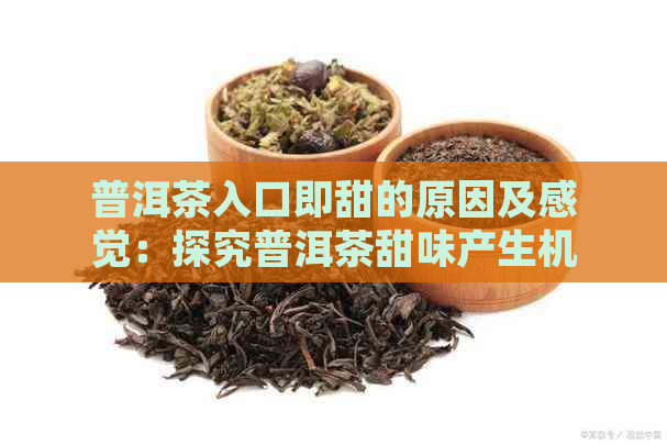 普洱茶入口即甜的原因及感觉：探究普洱茶甜味产生机理