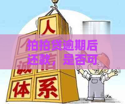 逾期后还款，是否可以再次贷款？逾期后多久能再次申请？