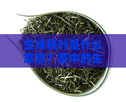 生津茶叶是什么意思？茶中的生津是什么含义？