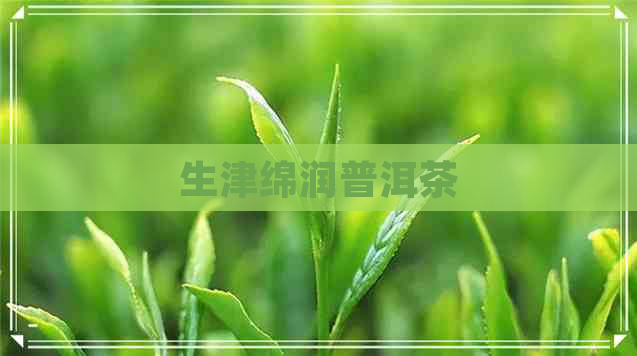 生津绵润普洱茶