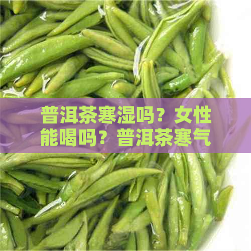 普洱茶寒湿吗？女性能喝吗？普洱茶寒气大吗？湿热吗？