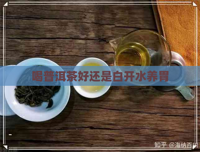 喝普洱茶好还是白开水养胃