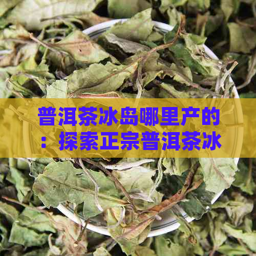 普洱茶冰岛哪里产的：探索正宗普洱茶冰岛产地及口感特点