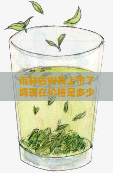 雨林古树茶上市了吗现在价格是多少？还能买吗？