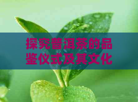 探究普洱茶的品鉴仪式及其文化内涵：从准备到品尝的全方位指南