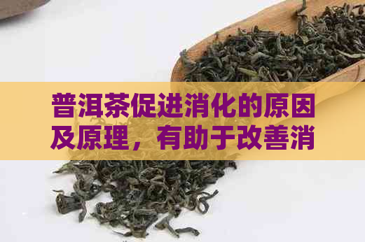 普洱茶促进消化的原因及原理，有助于改善消化功能。