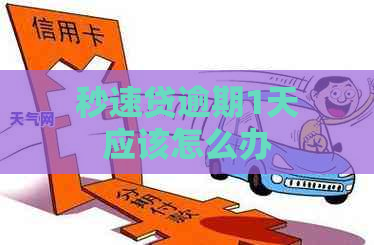 秒速贷逾期1天应该怎么办