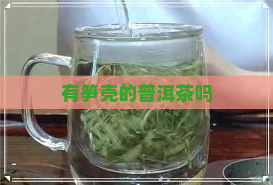 有笋壳的普洱茶吗