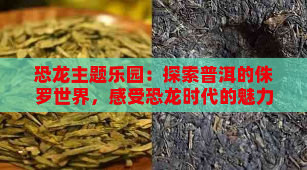 恐龙主题乐园：探索普洱的侏罗世界，感受恐龙时代的魅力