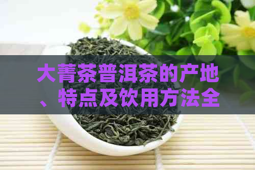 大菁茶普洱茶的产地、特点及饮用方法全解析：了解这款茶叶的全方位信息