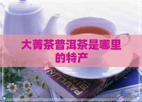 大菁茶普洱茶是哪里的特产