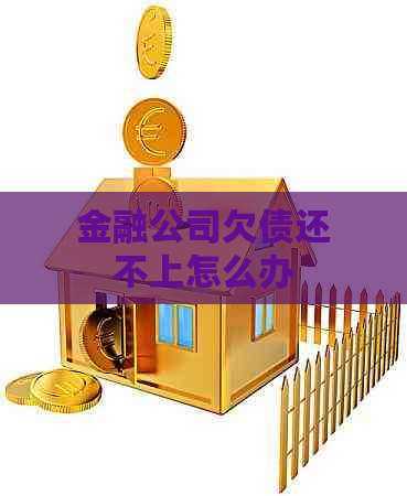 金融公司欠债还不上怎么办