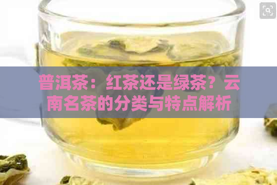 普洱茶：红茶还是绿茶？云南名茶的分类与特点解析