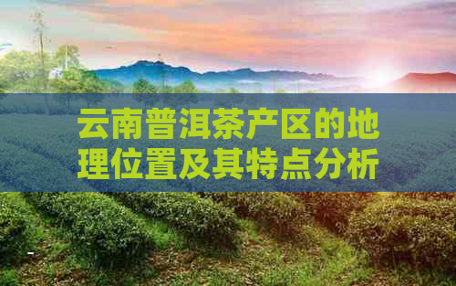 云南普洱茶产区的地理位置及其特点分析