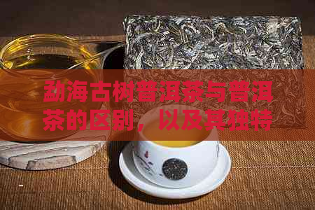 勐海古树普洱茶与普洱茶的区别，以及其独特特点。