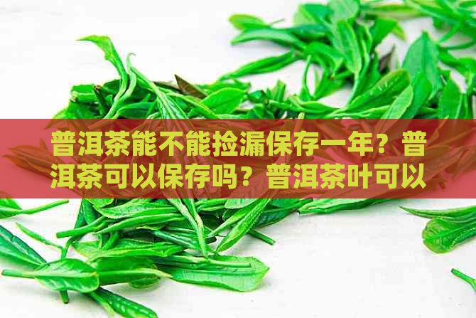 普洱茶能不能捡漏保存一年？普洱茶可以保存吗？普洱茶叶可以保存多久？