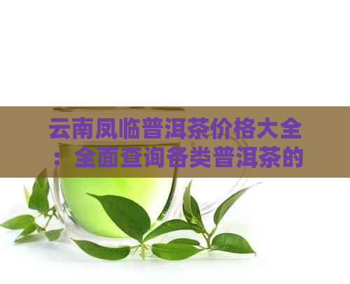 云南凤临普洱茶价格大全：全面查询各类普洱茶的价格及品鉴指南