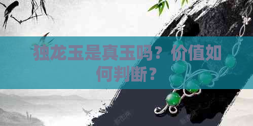 独龙玉是真玉吗？价值如何判断？