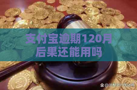 支付宝逾期120月后果还能用吗