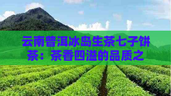 云南普洱冰岛生茶七子饼茶：茶香四溢的品质之选