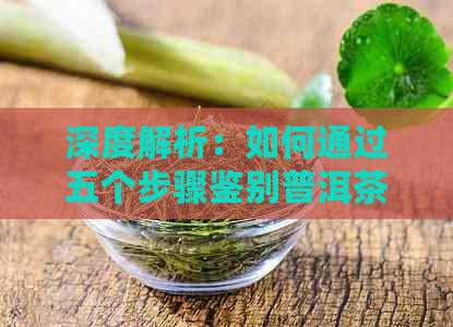 深度解析：如何通过五个步骤鉴别普洱茶的优质与劣质