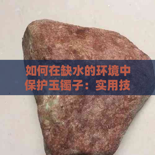 如何在缺水的环境中保护玉镯子：实用技巧与建议