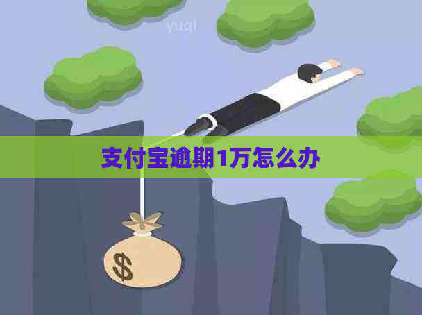 支付宝逾期1万怎么办