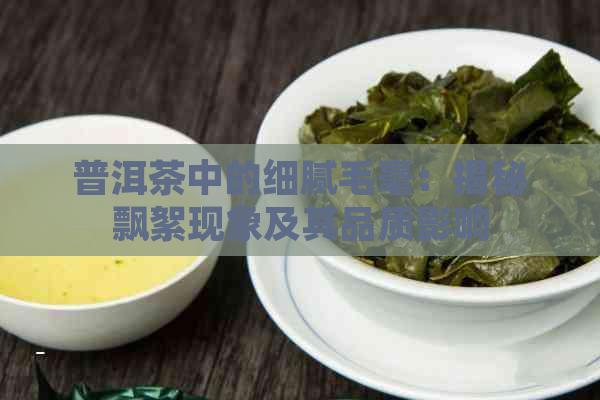 普洱茶中的细腻毛毫：揭秘飘絮现象及其品质影响