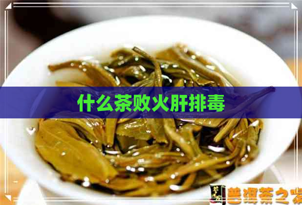 什么茶败火肝排