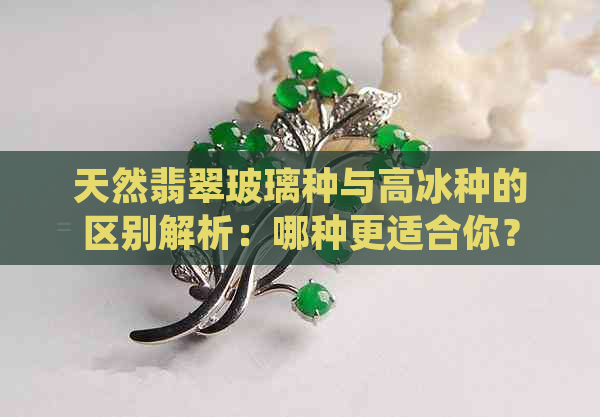 天然翡翠玻璃种与高冰种的区别解析：哪种更适合你？