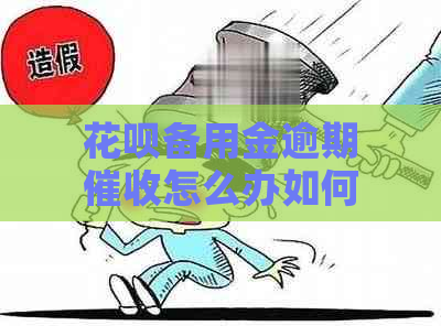 花呗备用金逾期怎么办如何解决