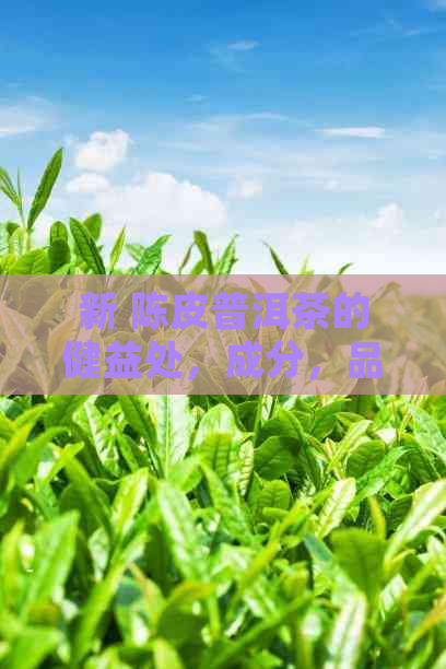 新 陈皮普洱茶的健益处，成分，品质与价格分析