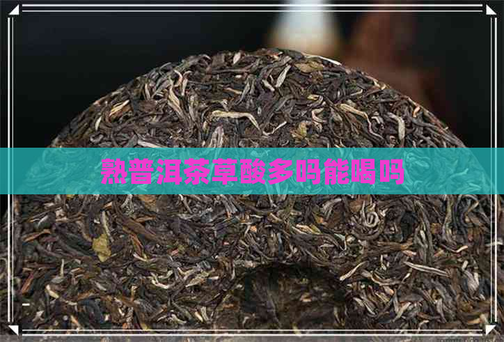 熟普洱茶草酸多吗能喝吗