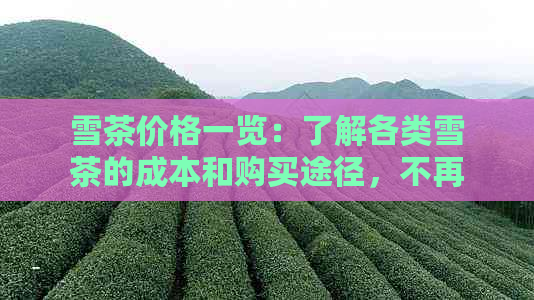 雪茶价格一览：了解各类雪茶的成本和购买途径，不再担心被坑！