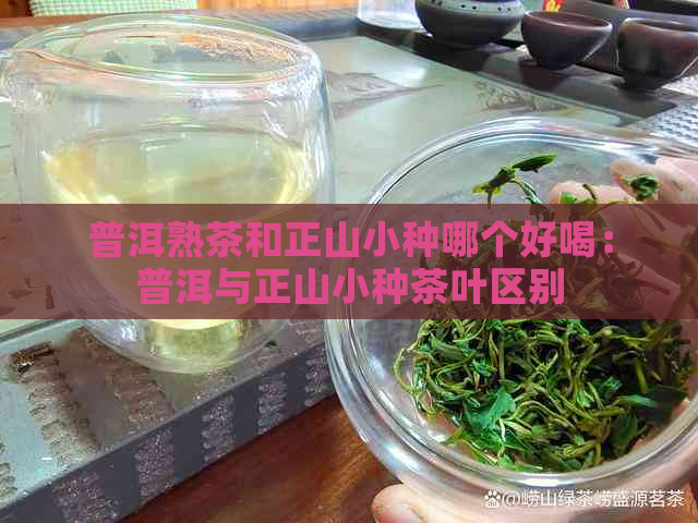 普洱熟茶和正山小种哪个好喝：普洱与正山小种茶叶区别