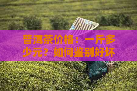 普洱茶价格：一斤多少元？如何鉴别好坏？与品质相关的几个因素