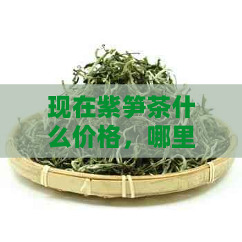 现在紫笋茶什么价格，哪里能买到？