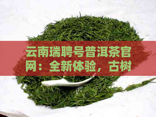 云南瑞聘号普洱茶官网：全新体验，古树茶香，品鉴越品质，限时优！