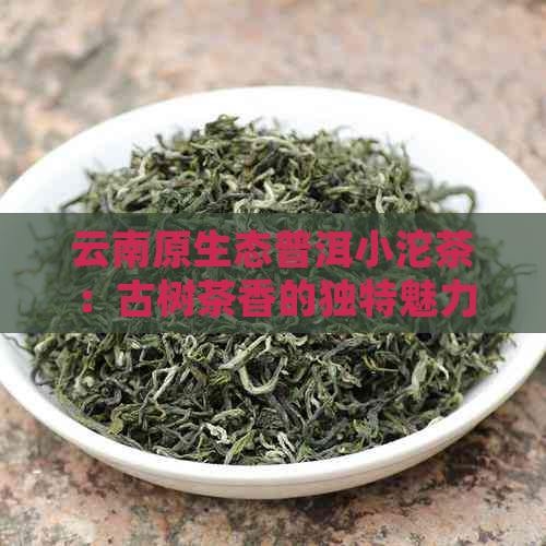 云南原生态普洱小沱茶：古树茶香的独特魅力与健益处