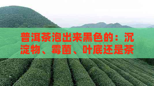 普洱茶泡出来黑色的：沉淀物、霉菌、叶底还是茶渣？