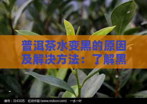 普洱茶水变黑的原因及解决方法：了解黑色普洱茶的影响与品饮技巧