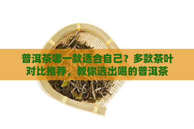 普洱茶哪一款适合自己？多款茶叶对比推荐，教你选出喝的普洱茶