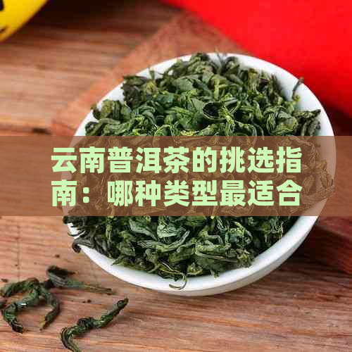 云南普洱茶的挑选指南：哪种类型最适合你？