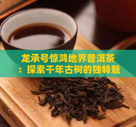 龙承号惊鸿地界普洱茶：探索千年古树的独特魅力