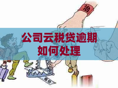 公司云税贷逾期如何处理