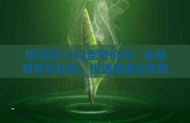 普洱茶7262型号价格：全面解析与比较，挑选最适合您的茶叶