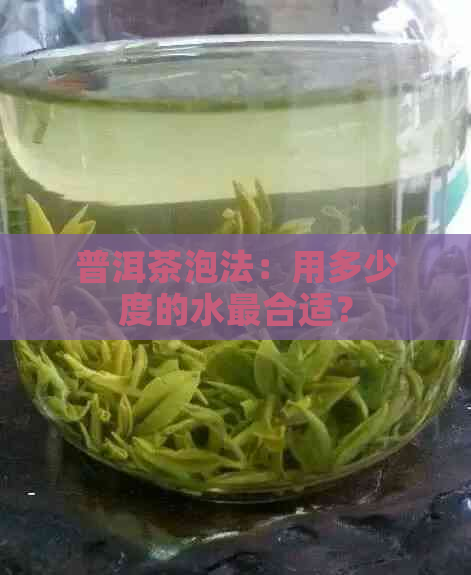 普洱茶泡法：用多少度的水最合适？